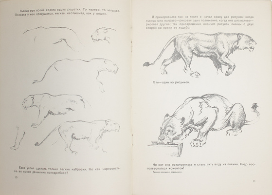 Лаптев А. Как я рисовал в зоопарке. [Л.: Б. и., 1950].